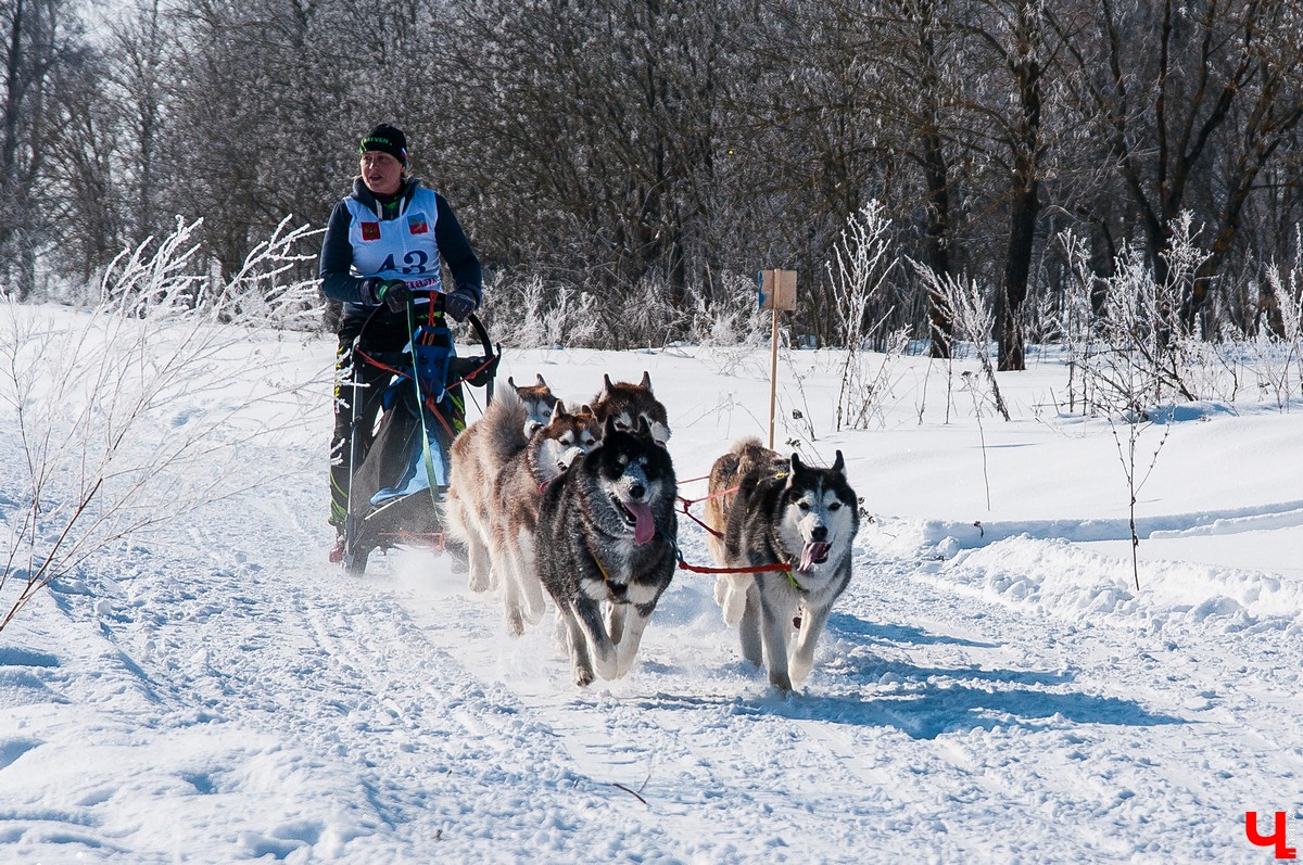 «Суздальский луг» 2018