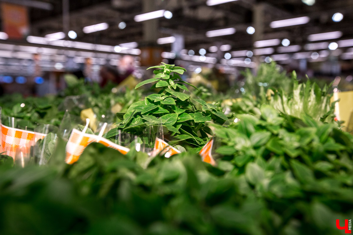 Шеф студии “Roulet” Дмитрий Орловский учит ведущую, путешественницу и гурмана Карину Васильеву готовить настоящую испанскую паэлью с русским колоритом