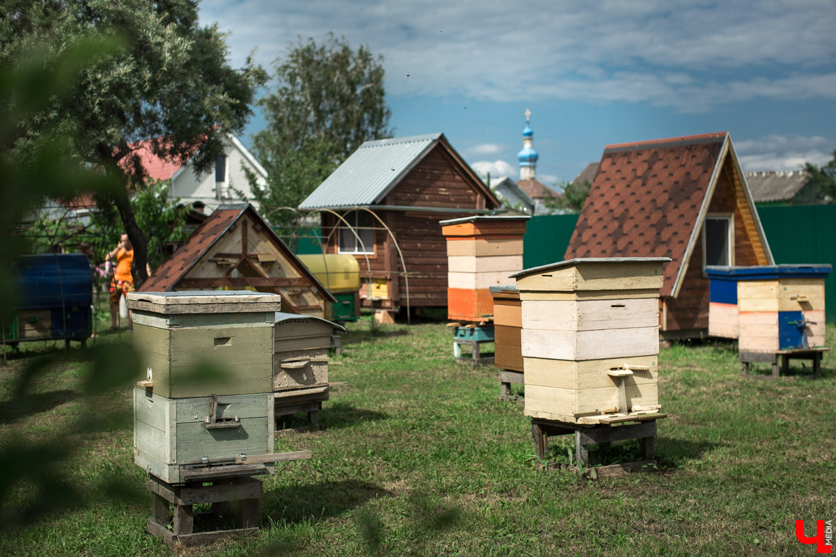 Журналист “Ключ-Медиа” на себе проверил, что такое аэроапитерапия и узнал, зачем люди ложатся спать на ульи с пчелами. Какую пользу приносит такой отдых рассказал пасечник из Владимирской области Николай Фадеев