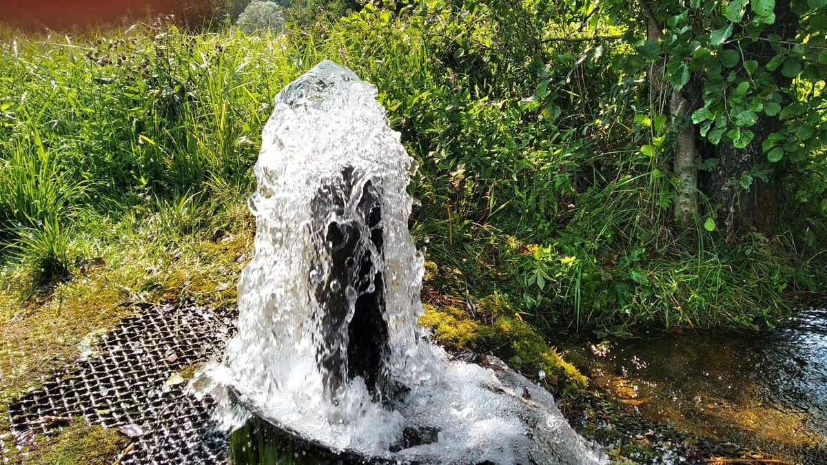 Истории о родниках с целебной водой - не редкость, вот и мы собрали информацию о трех таких источниках. А заодно узнали: чем действительно удивительна эта вода