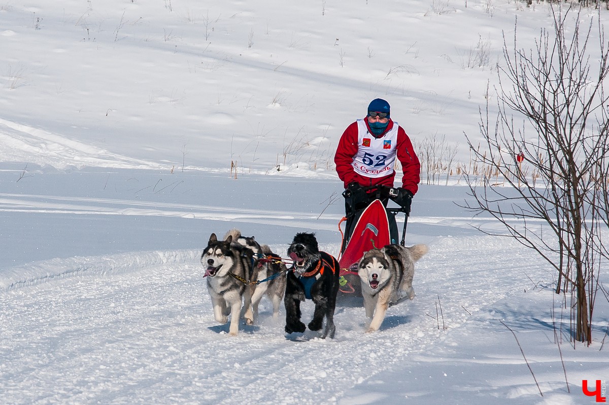 «Суздальский луг» 2018