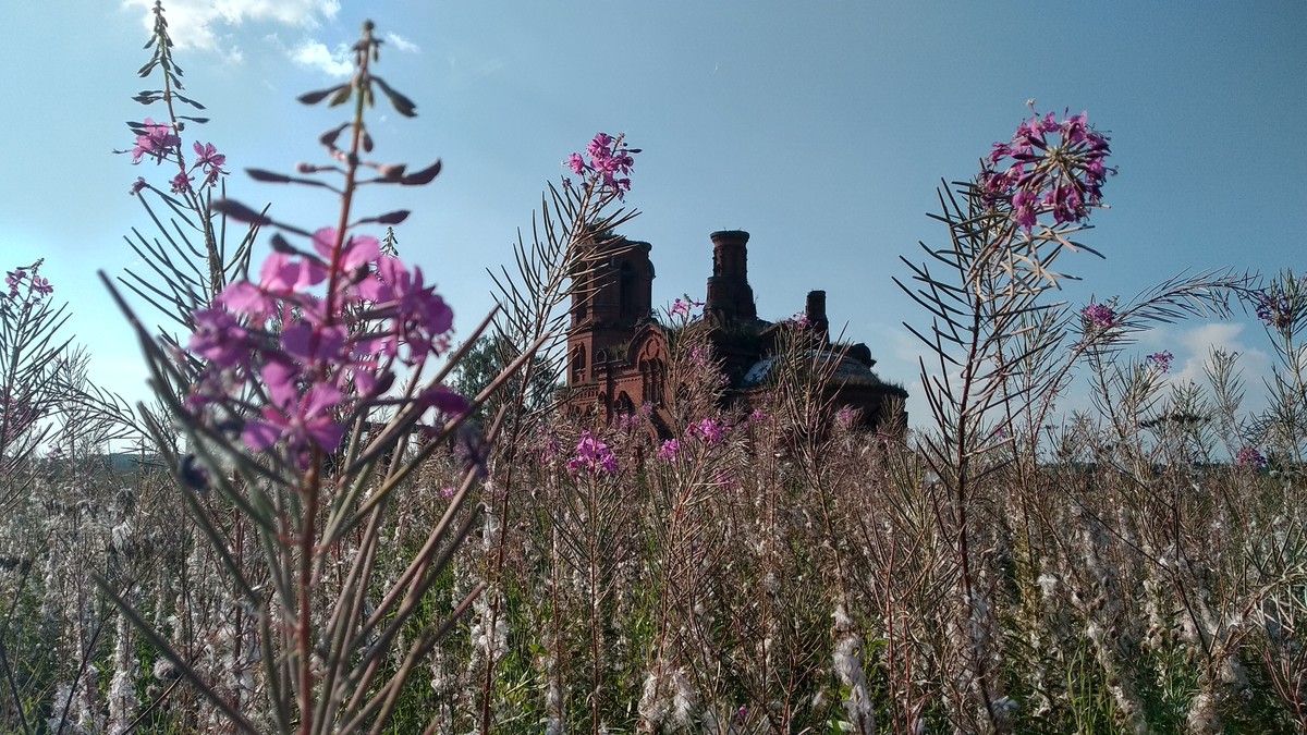 Истории о родниках с целебной водой - не редкость, вот и мы собрали информацию о трех таких источниках. А заодно узнали: чем действительно удивительна эта вода