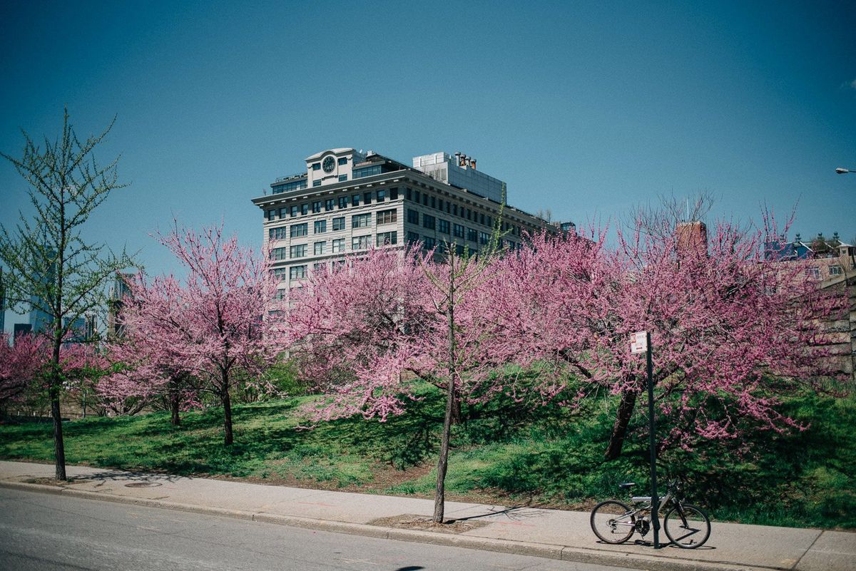 Владимирцы в Нью-Йорке. Чем дышат Бруклин и Манхэттен?