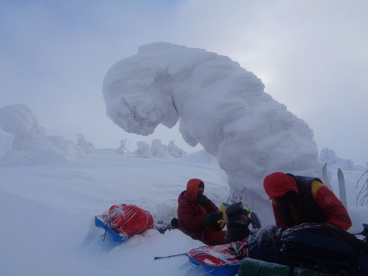 Владимирец принял участие в экспедиции на Перевал Дятлова