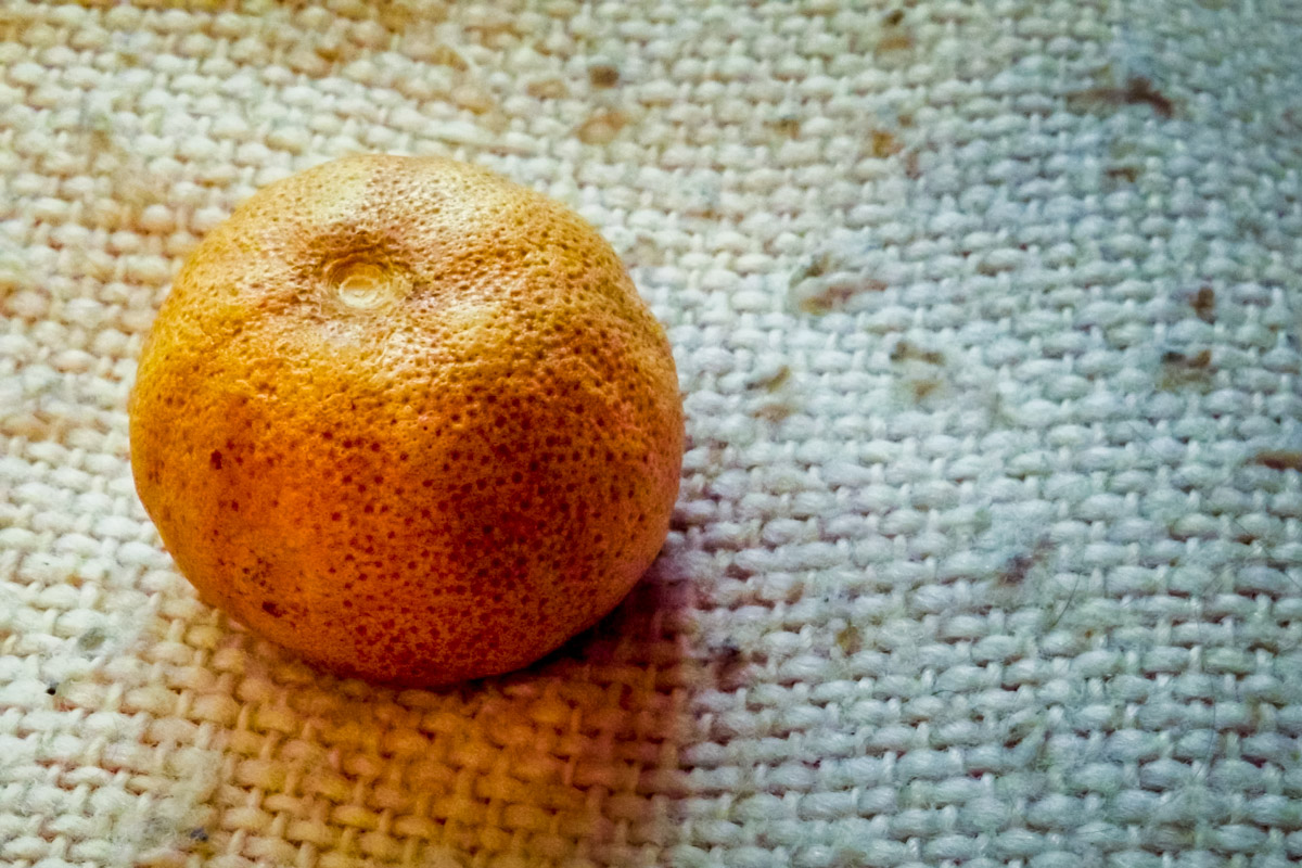 Волшебная мандаринка