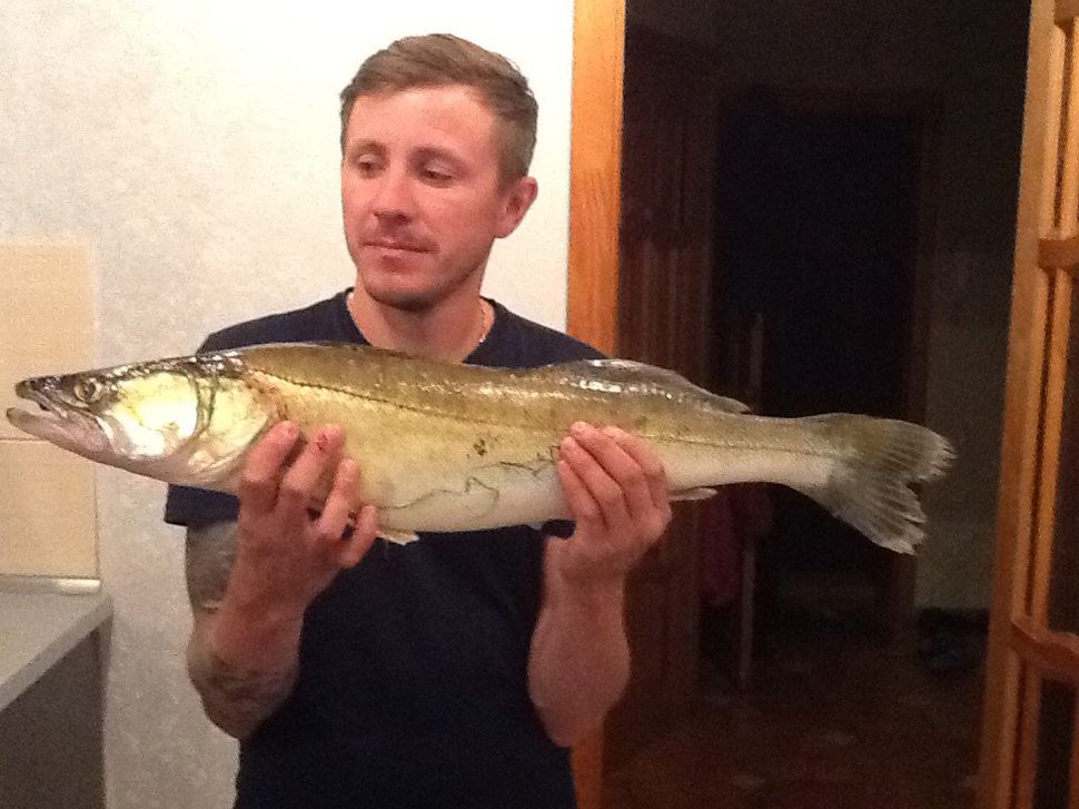 Александр Марков