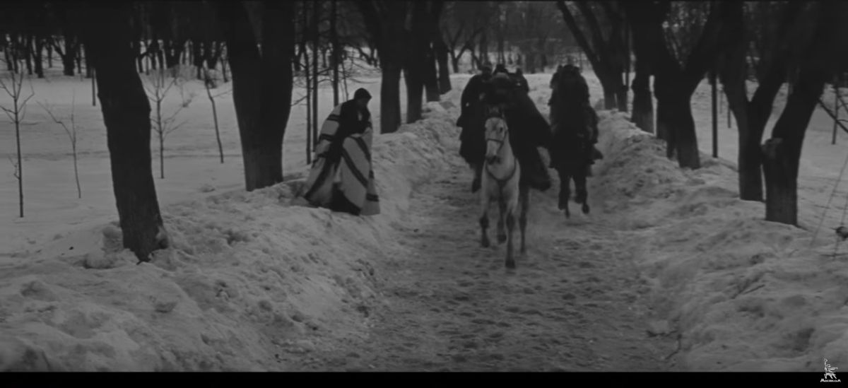 Парк «Липки»