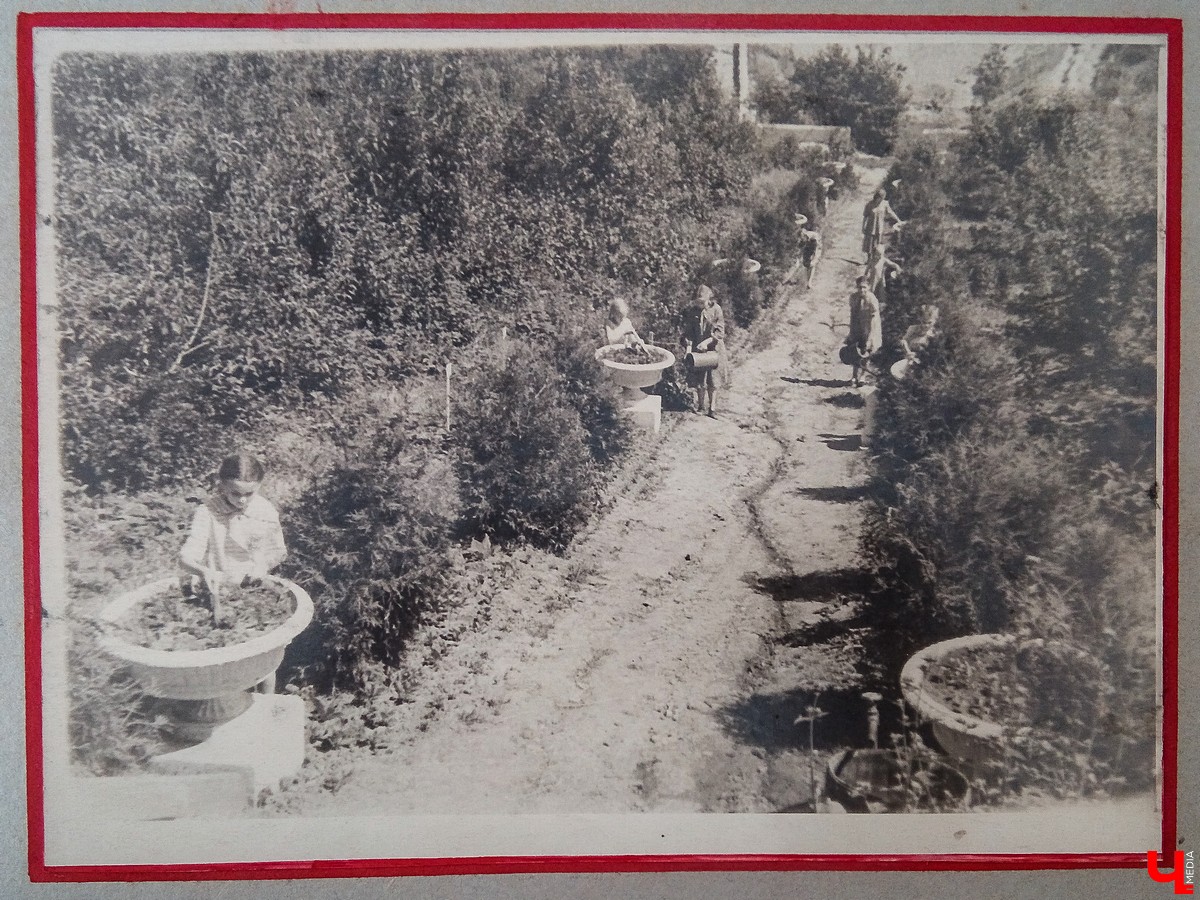 История Патриаршего сада в фотографиях из архива станции юннатов