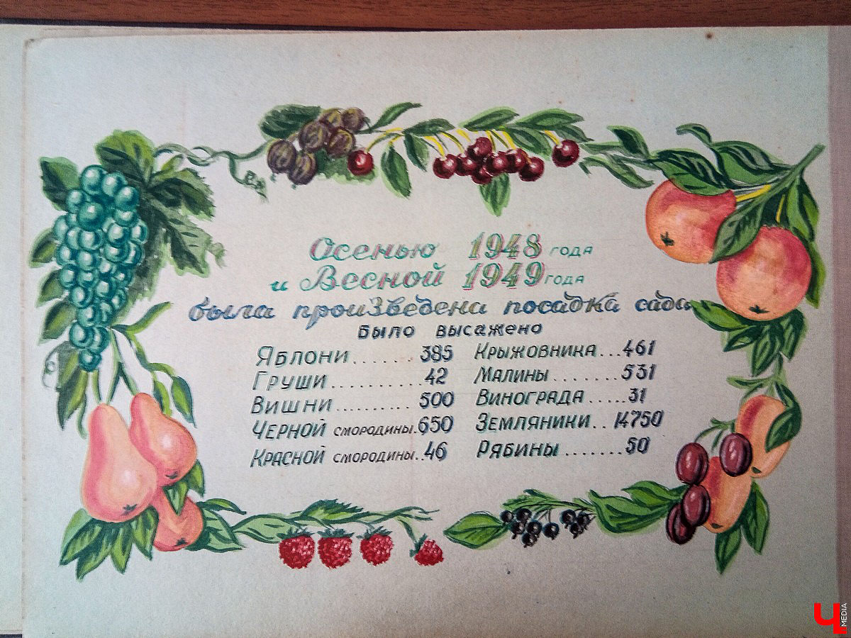 История Патриаршего сада в фотографиях из архива станции юннатов