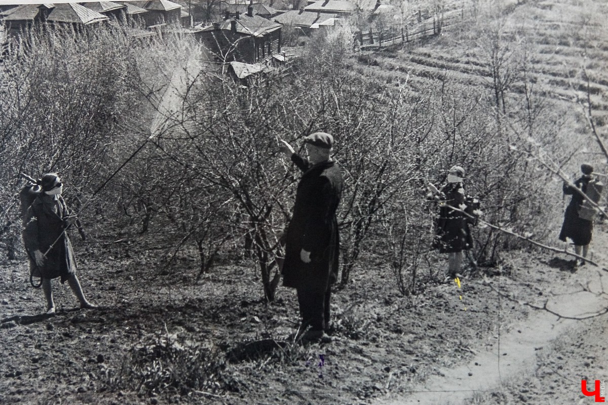 История Патриаршего сада в фотографиях из архива станции юннатов