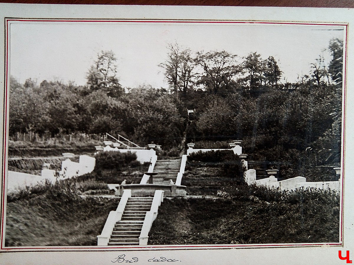 История Патриаршего сада в фотографиях из архива станции юннатов