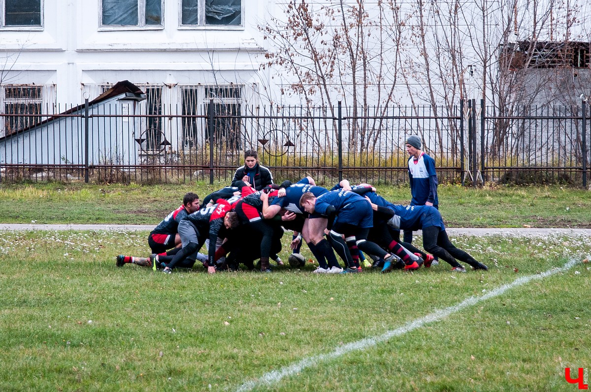 Владимирские львы и Торпедо провели товарищескую встречу перед финалом турнира на Кубок Золотого кольца по женскому регби-7