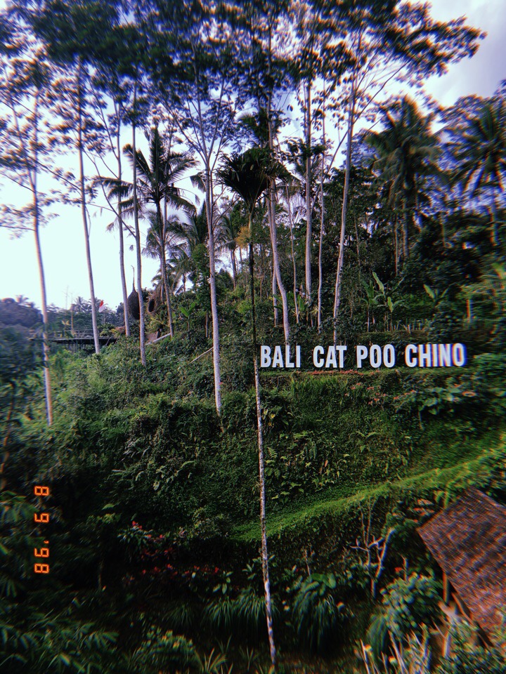 Владимирцы Мария и Илья Засорины побывали на острове Бали и поделились впечатлениями от поездки