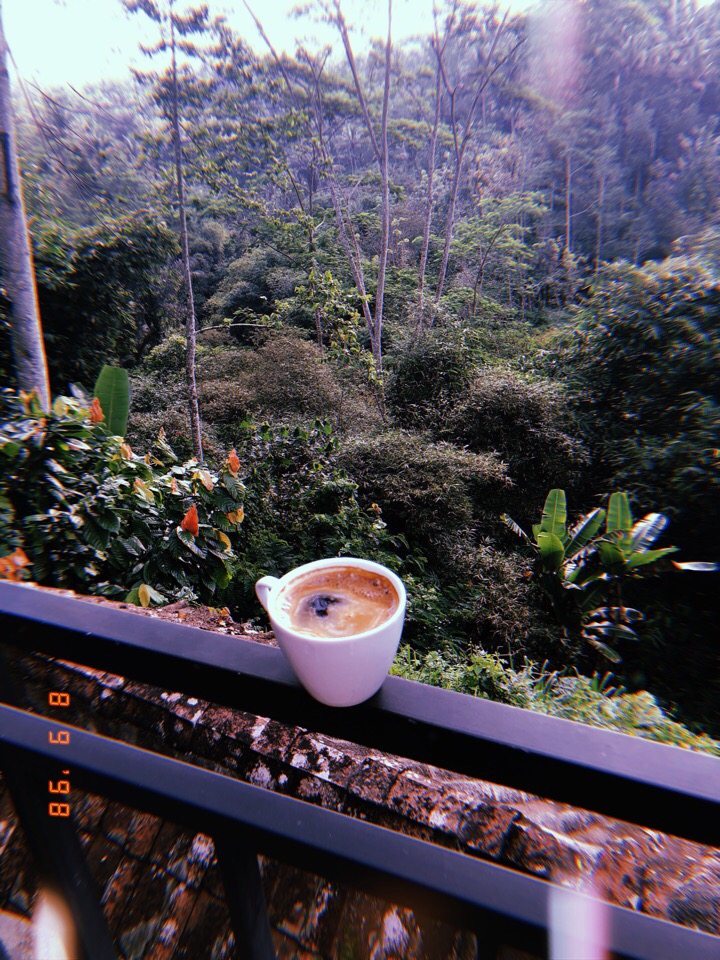 Владимирцы Мария и Илья Засорины побывали на острове Бали и поделились впечатлениями от поездки