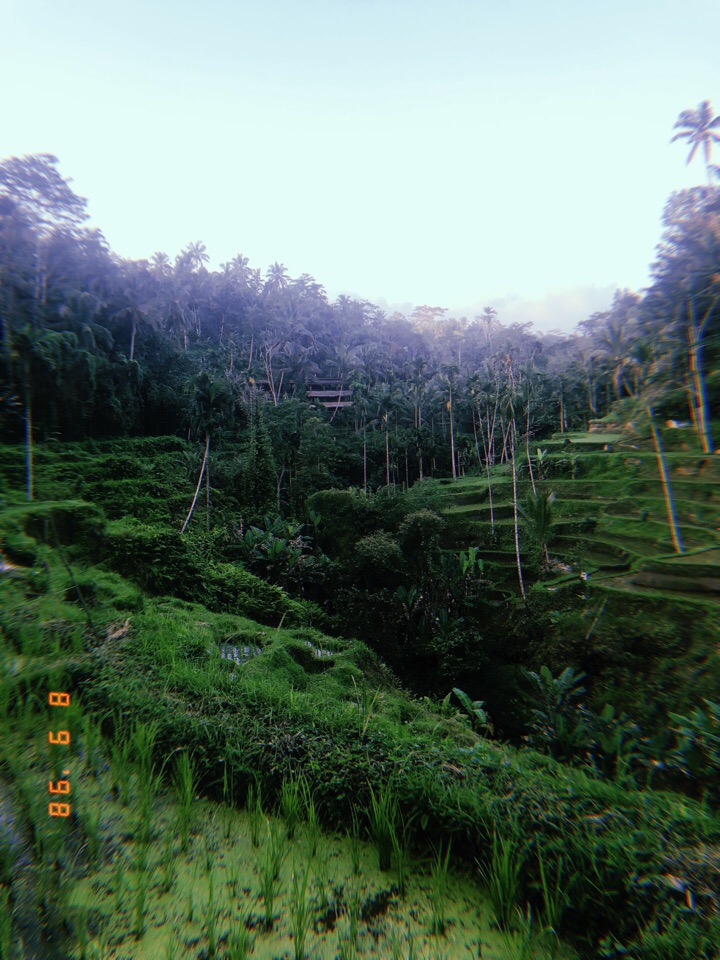 Владимирцы Мария и Илья Засорины побывали на острове Бали и поделились впечатлениями от поездки