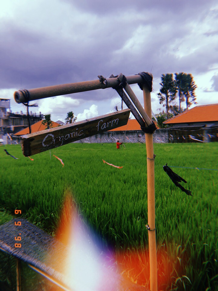 Владимирцы Мария и Илья Засорины побывали на острове Бали и поделились впечатлениями от поездки