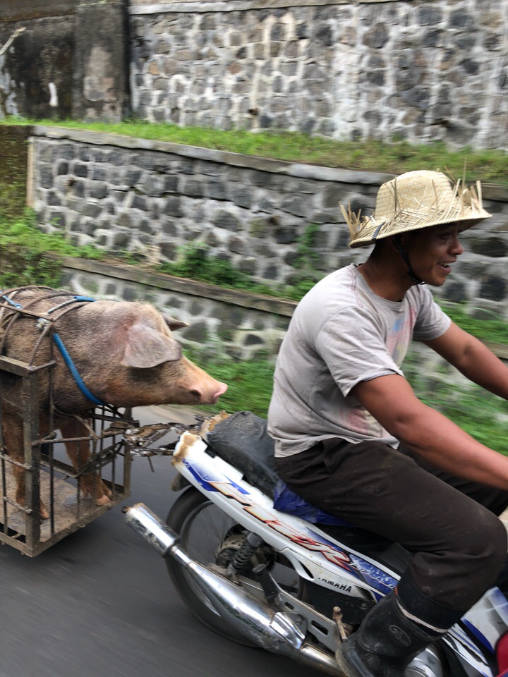 Владимирцы Мария и Илья Засорины побывали на острове Бали и поделились впечатлениями от поездки