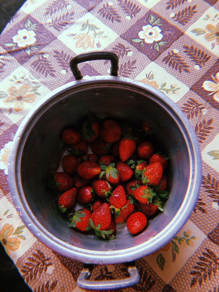 Владимирцы Мария и Илья Засорины побывали на острове Бали и поделились впечатлениями от поездки