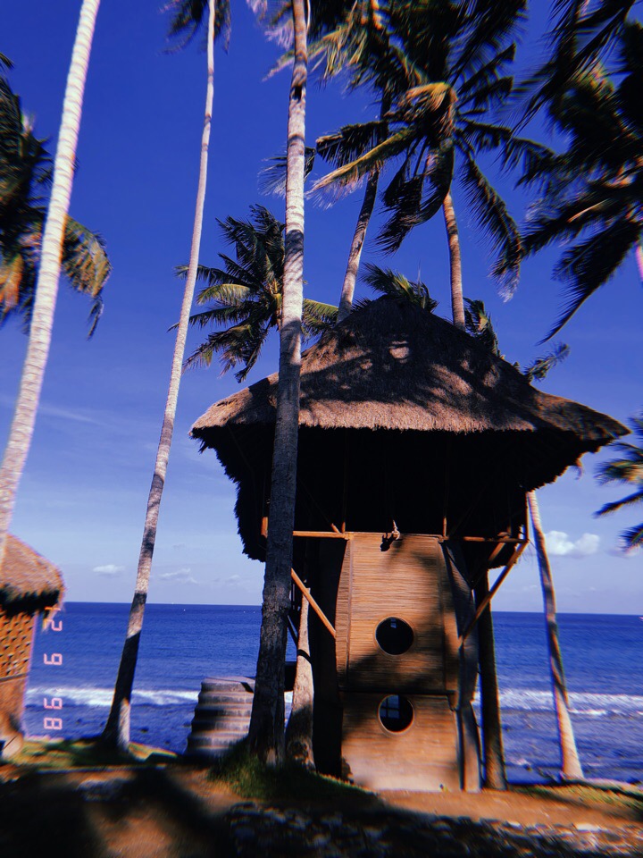 Владимирцы Мария и Илья Засорины побывали на острове Бали и поделились впечатлениями от поездки