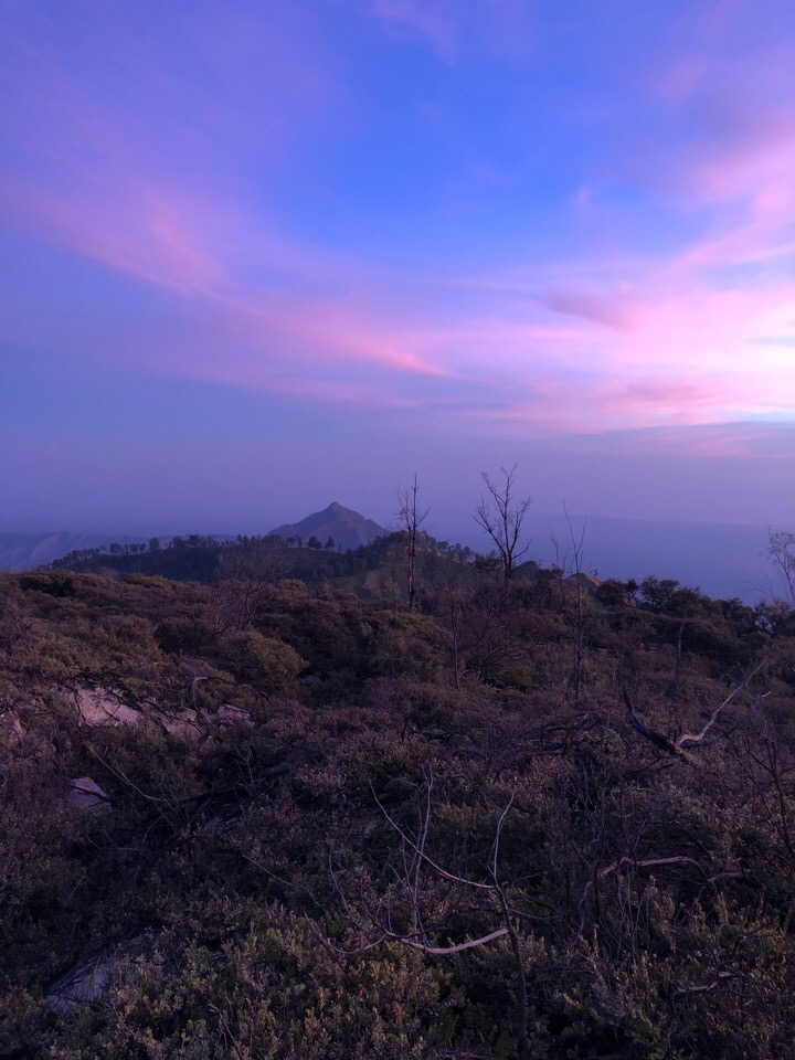 Владимирцы Мария и Илья Засорины побывали на острове Бали и поделились впечатлениями от поездки