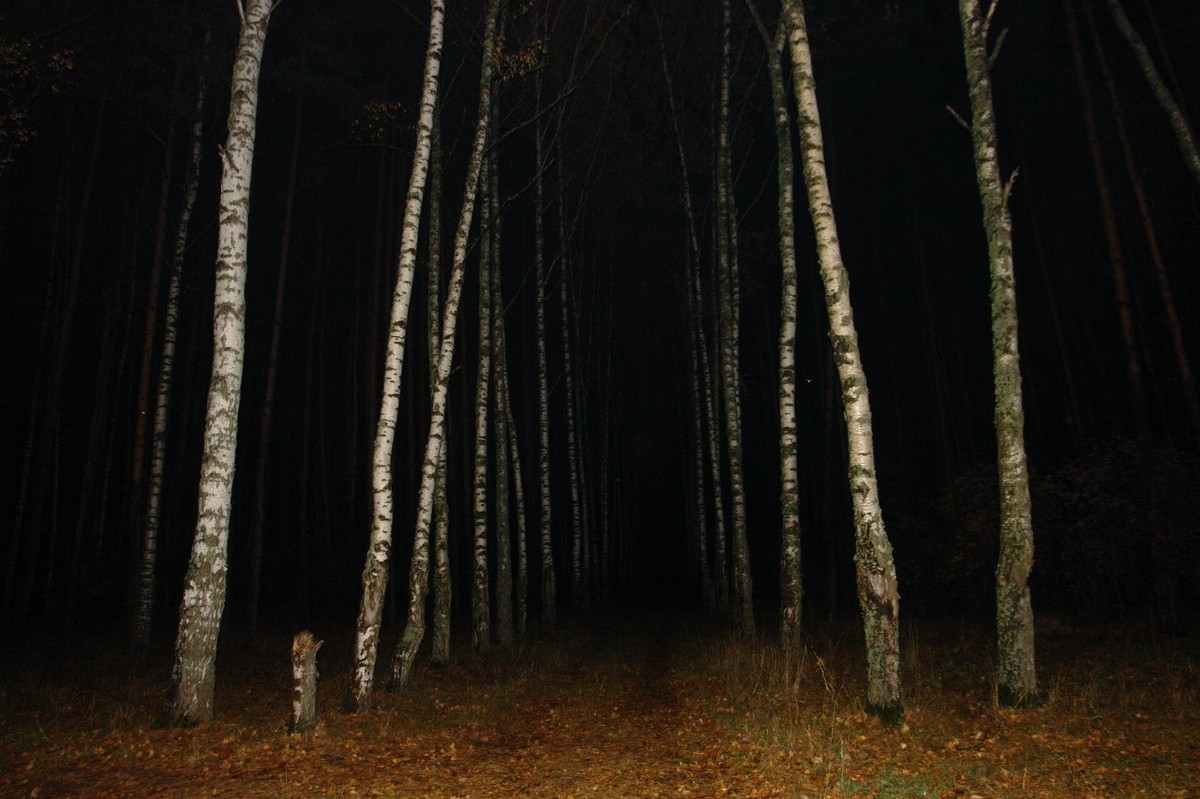 Исследователь аномальных явлений Дмитрий Савва поделился частью своего архива - захватывающими историями о призраках. Все они рассказаны очевидцами