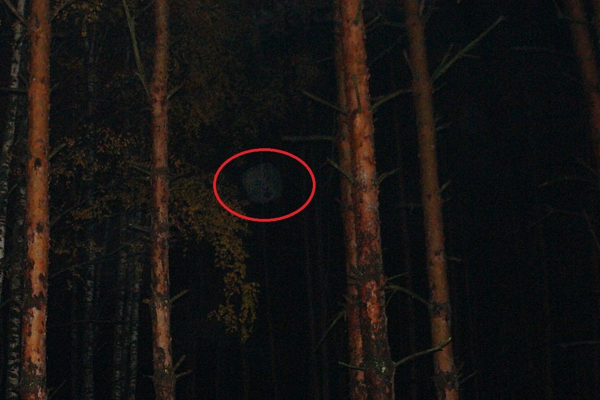 Исследователь аномальных явлений Дмитрий Савва поделился частью своего архива - захватывающими историями о призраках. Все они рассказаны очевидцами