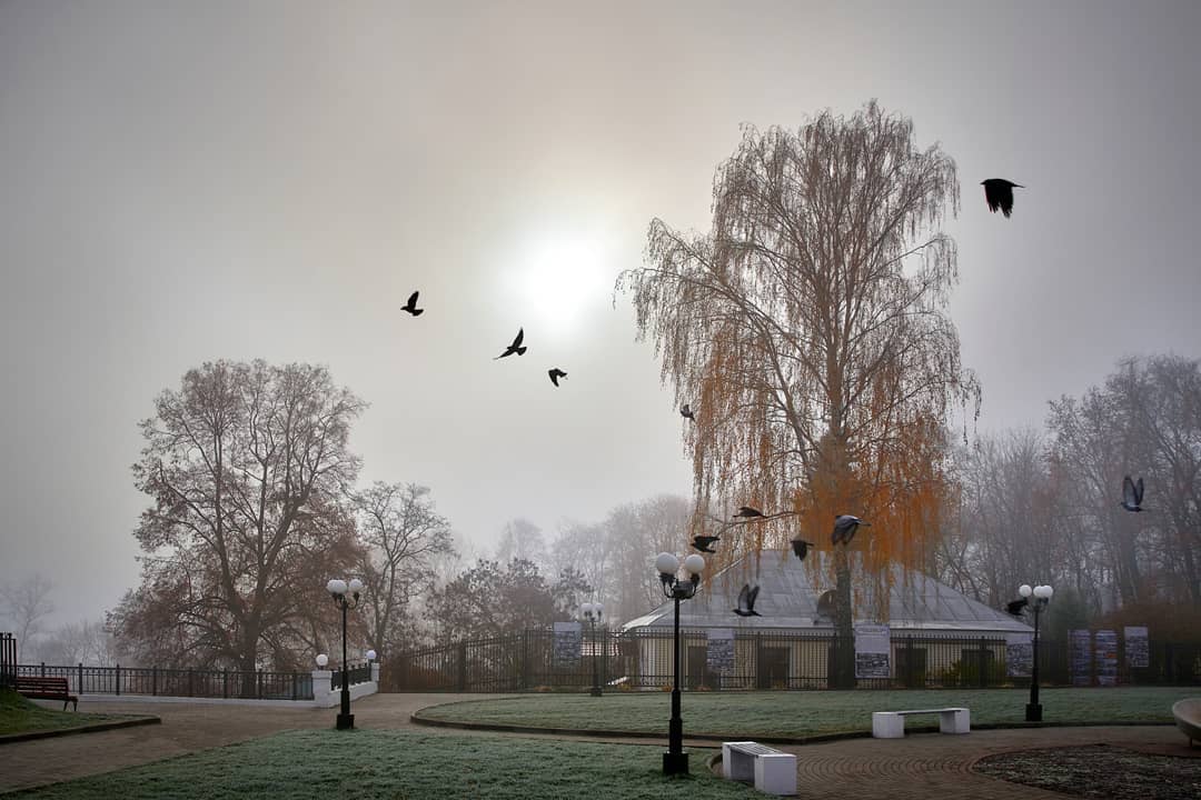 Во Владимире вот уже несколько дней подряд стоит туман. Мы собрали 10 самых интересных фотографий, которые сделали в эту погоду горожане