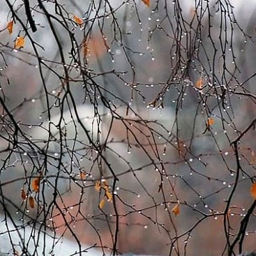 Во Владимире вот уже несколько дней подряд стоит туман. Мы собрали 10 самых интересных фотографий, которые сделали в эту погоду горожане