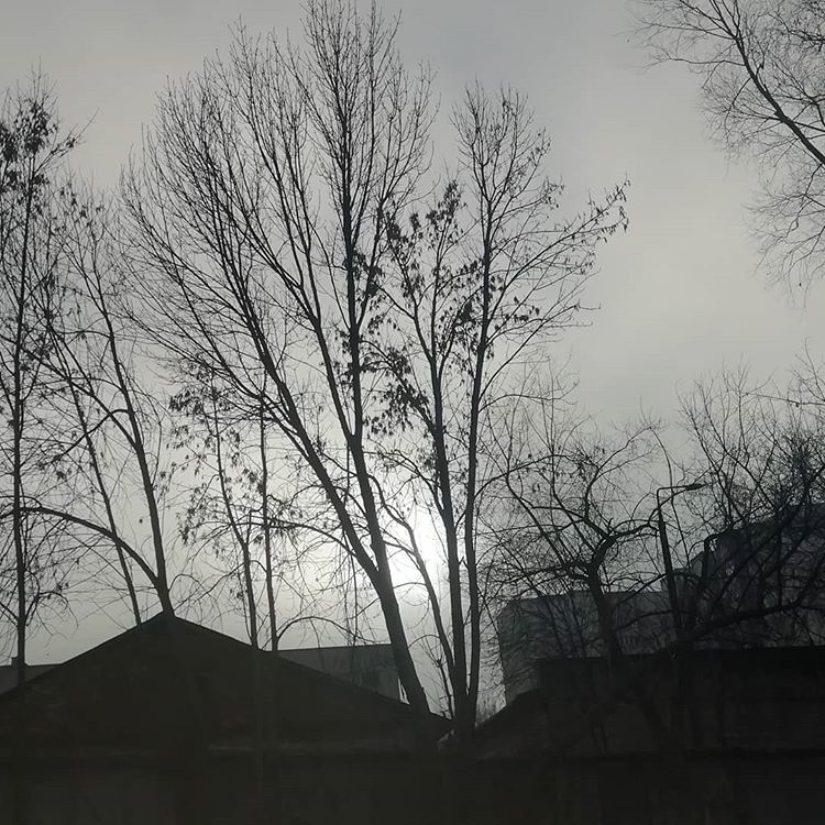 Во Владимире вот уже несколько дней подряд стоит туман. Мы собрали 10 самых интересных фотографий, которые сделали в эту погоду горожане