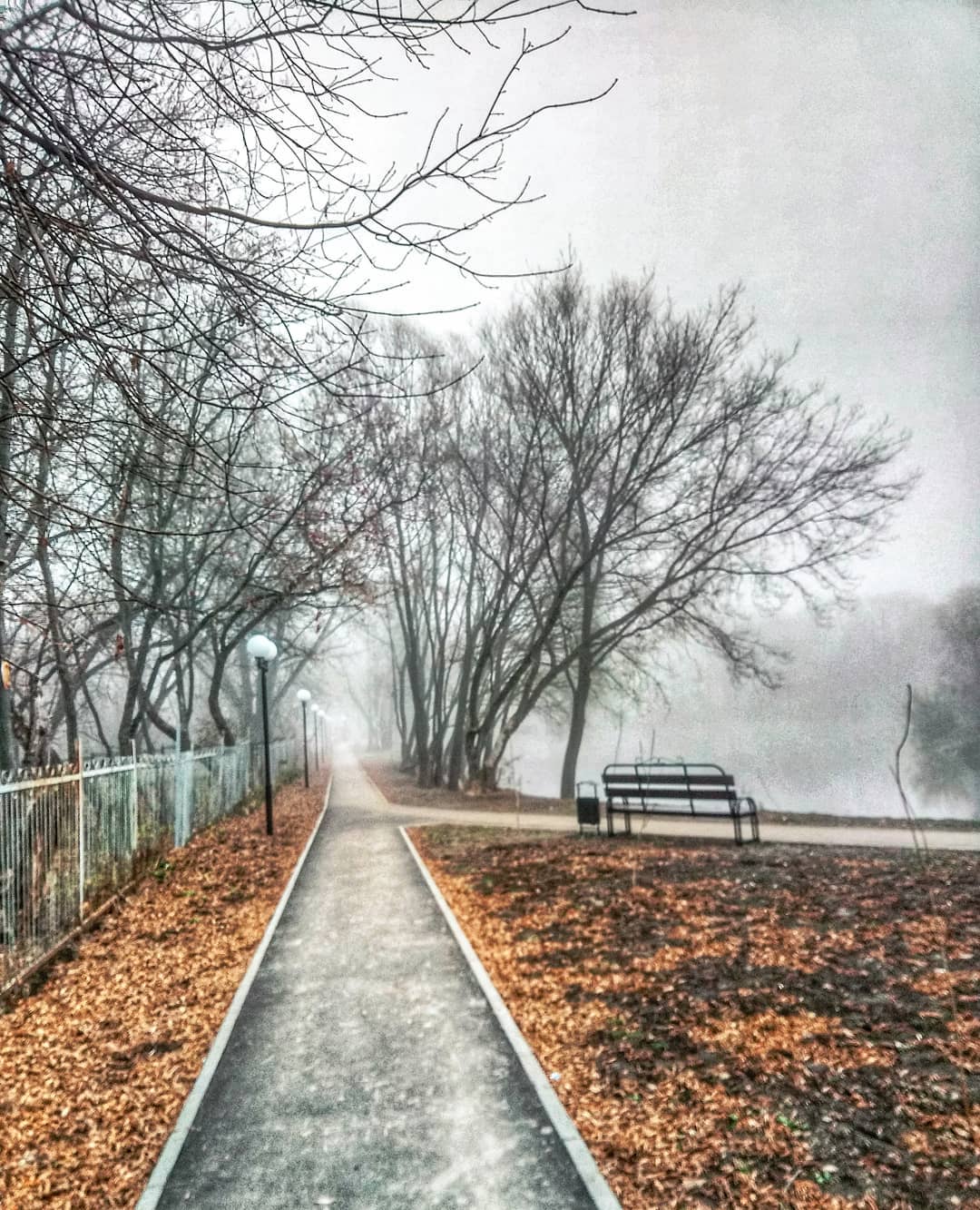 Во Владимире вот уже несколько дней подряд стоит туман. Мы собрали 10 самых интересных фотографий, которые сделали в эту погоду горожане
