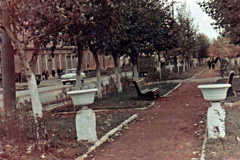 Как раньше называлась улица Горького? Что было на месте ВлГУ? Как сюда попал Олег Янковский? Об истории центральной магистрали Владимира мы поговорили с краеведом-любителем Александром Прониным