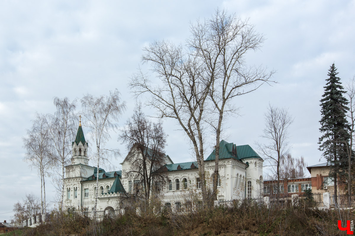 Как раньше называлась улица Горького? Что было на месте ВлГУ? Как сюда попал Олег Янковский? Об истории центральной магистрали Владимира мы поговорили с краеведом-любителем Александром Прониным