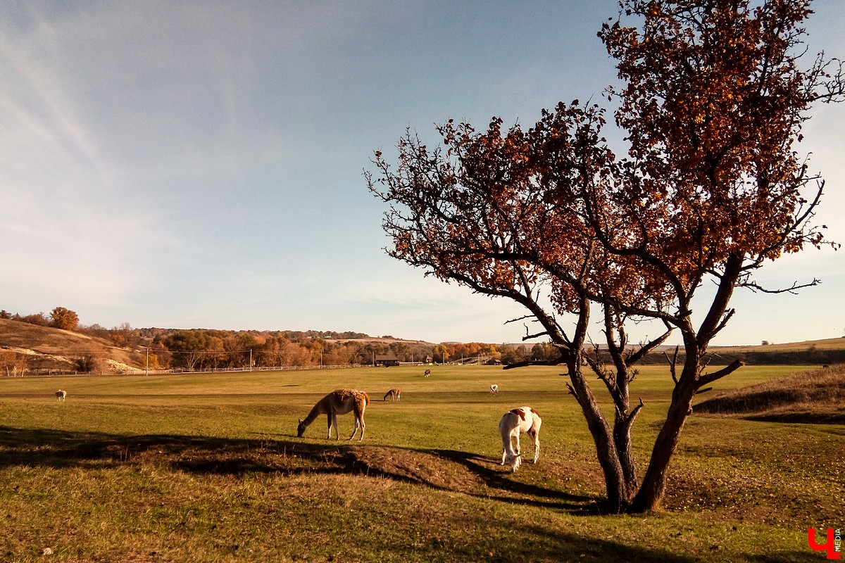 Экскурсия выходного дня в природный парк “Кудыкина гора”. Маршруты из Владимира, варианты размещения, обзор достопримечательностей