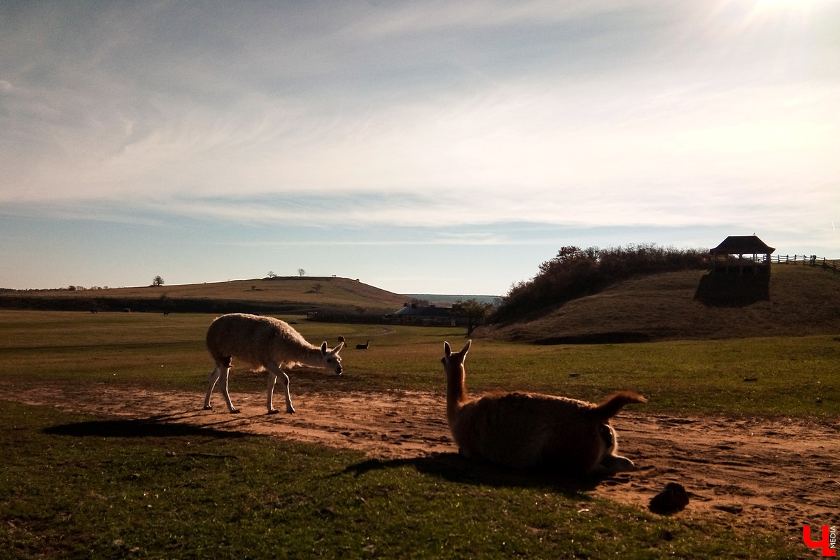 Экскурсия выходного дня в природный парк “Кудыкина гора”. Маршруты из Владимира, варианты размещения, обзор достопримечательностей