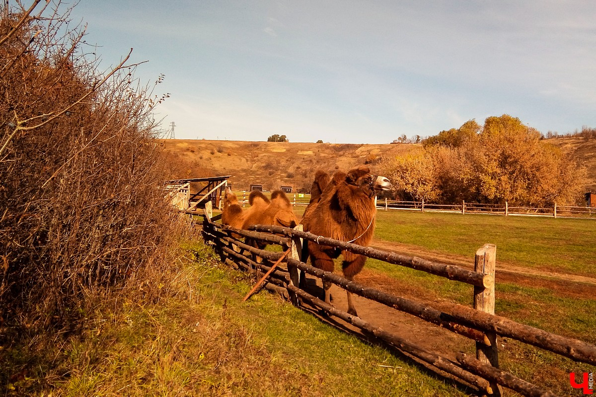 Экскурсия выходного дня в природный парк “Кудыкина гора”. Маршруты из Владимира, варианты размещения, обзор достопримечательностей