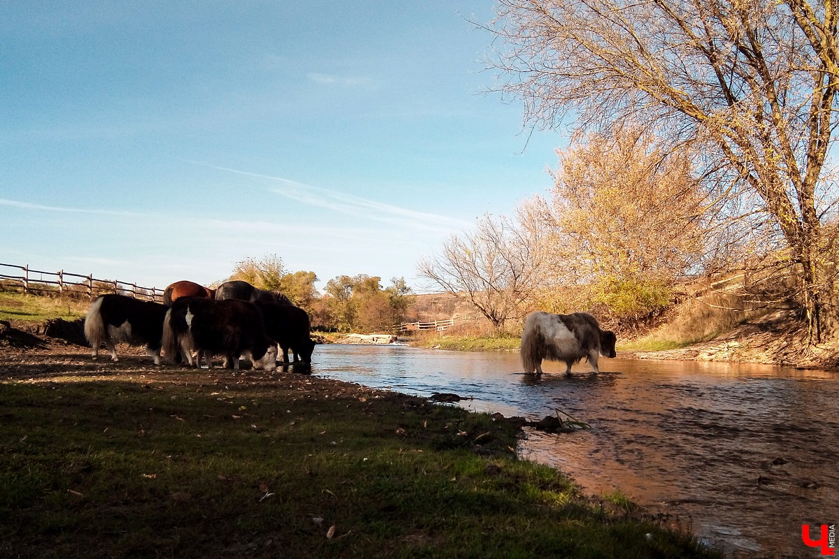 Экскурсия выходного дня в природный парк “Кудыкина гора”. Маршруты из Владимира, варианты размещения, обзор достопримечательностей