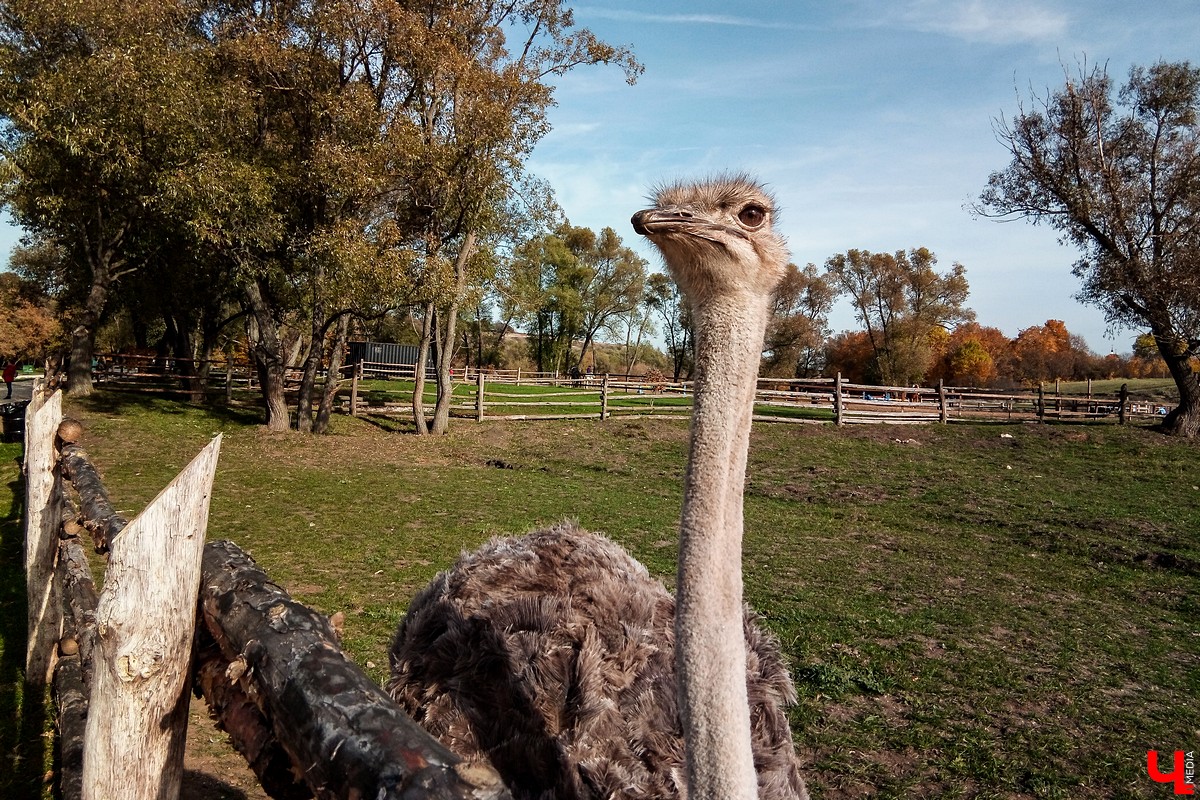 Экскурсия выходного дня в природный парк “Кудыкина гора”. Маршруты из Владимира, варианты размещения, обзор достопримечательностей