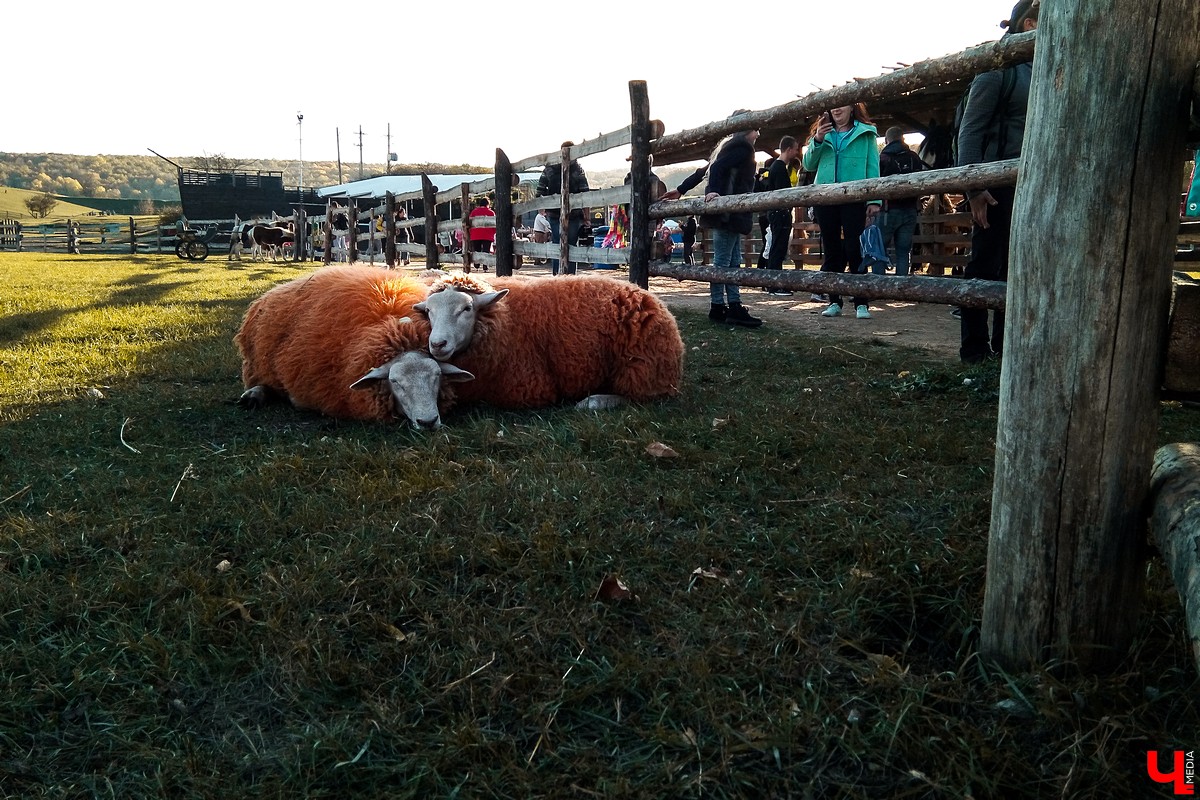 Экскурсия выходного дня в природный парк “Кудыкина гора”. Маршруты из Владимира, варианты размещения, обзор достопримечательностей