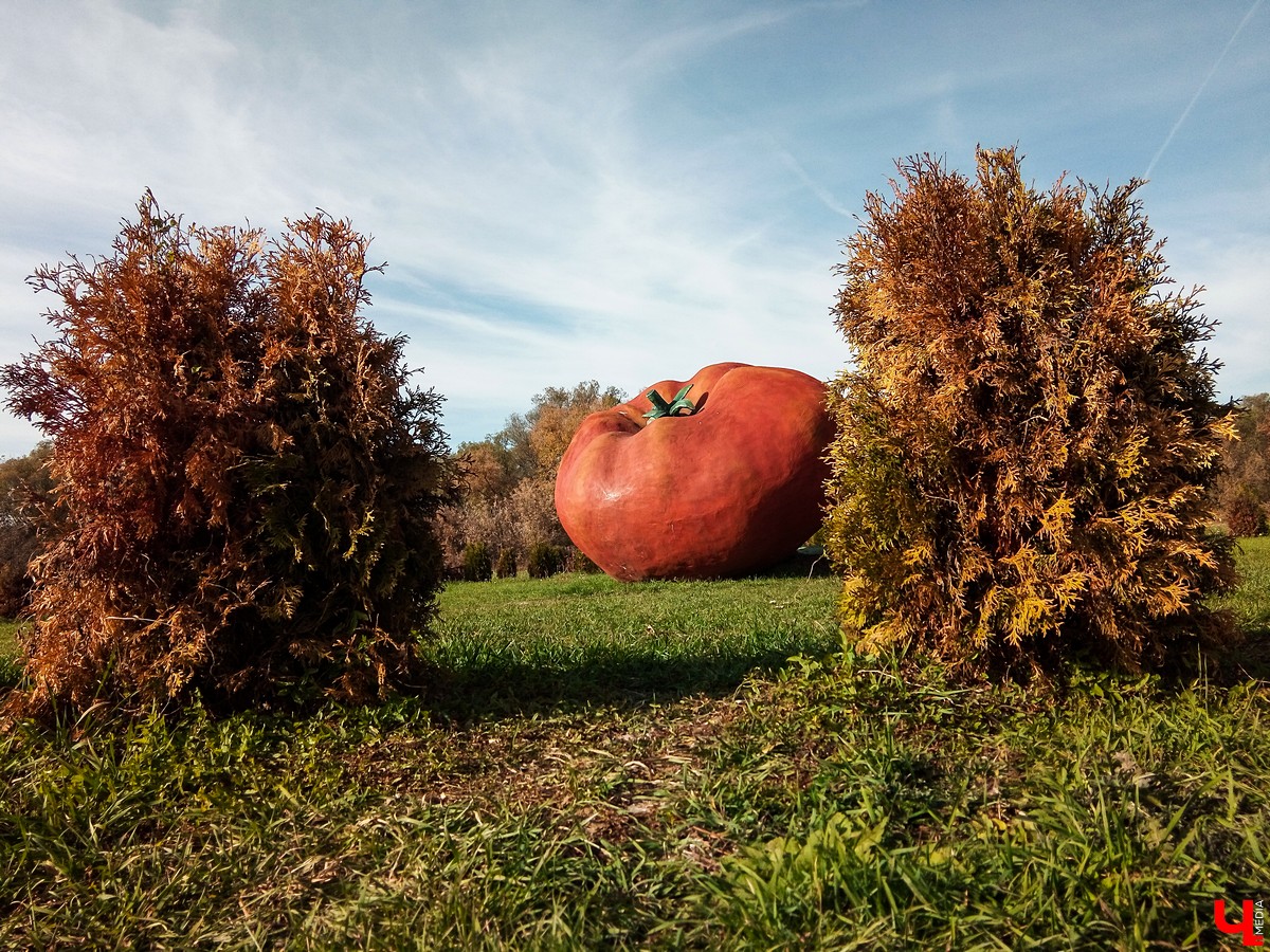 Экскурсия выходного дня в природный парк “Кудыкина гора”. Маршруты из Владимира, варианты размещения, обзор достопримечательностей