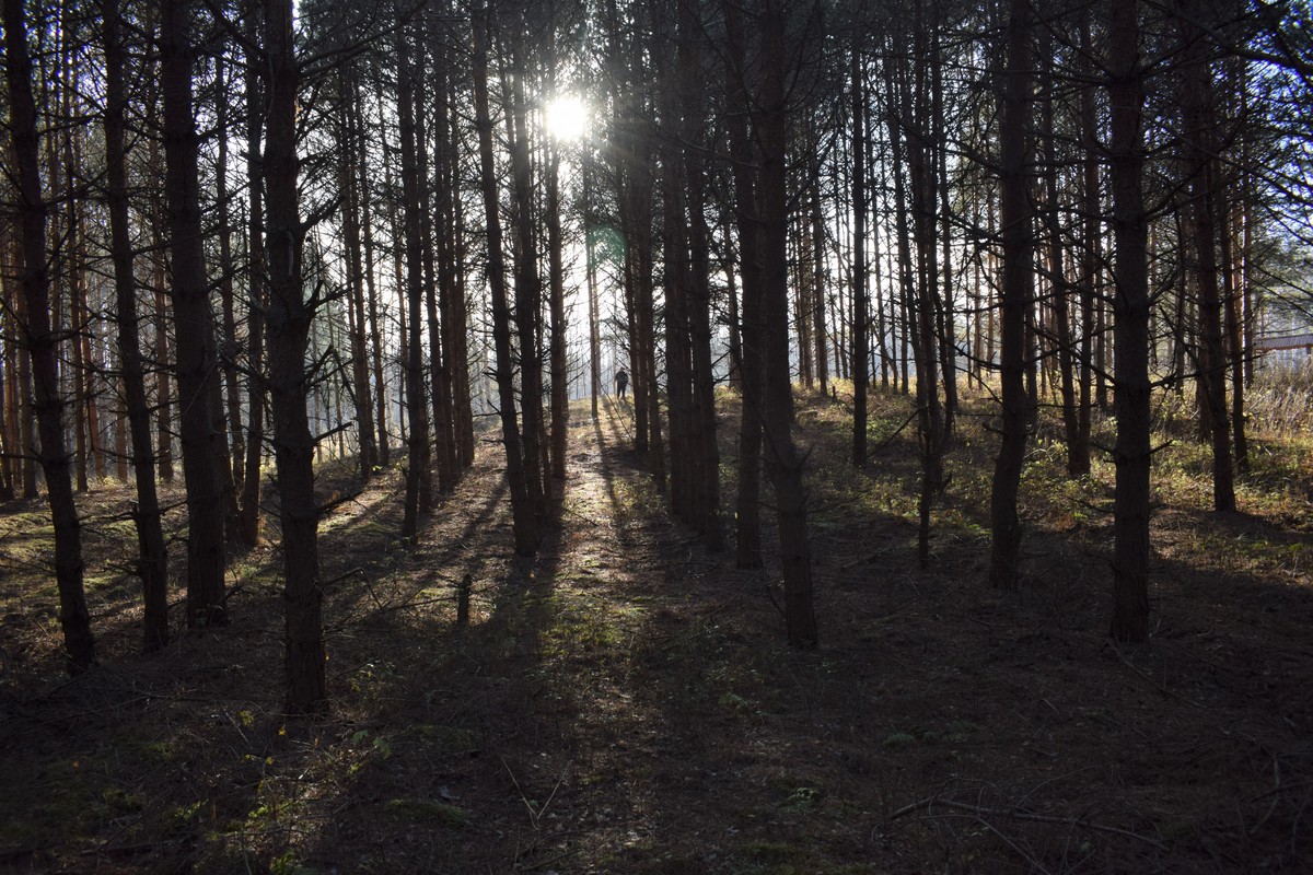Ноябрь - время окончания сезона археологических раскопок. Мы решили выяснить, что удалось найти ученым за 2018 год