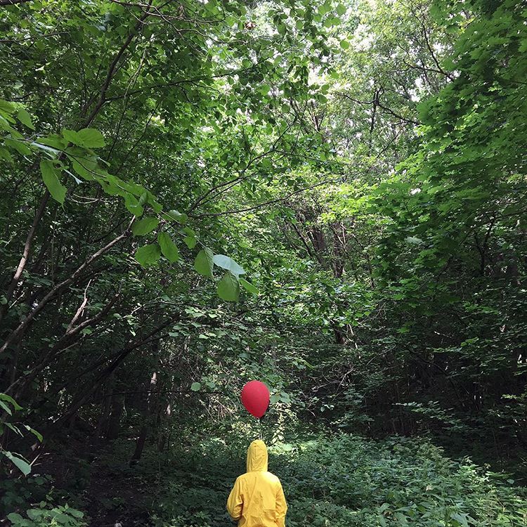 Во Владимире живет немало творческих людей. И некоторые из них ведут блоги в Инстаграм. Пишут о самом главном - своих хобби