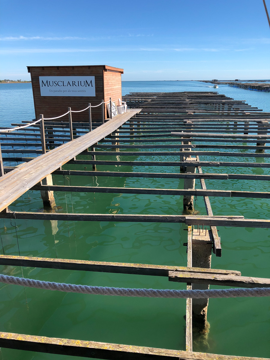 Любители хорошей кухни из Владимира готовили и дегустировали испанские блюда и открывали для себя особенности Валенсии