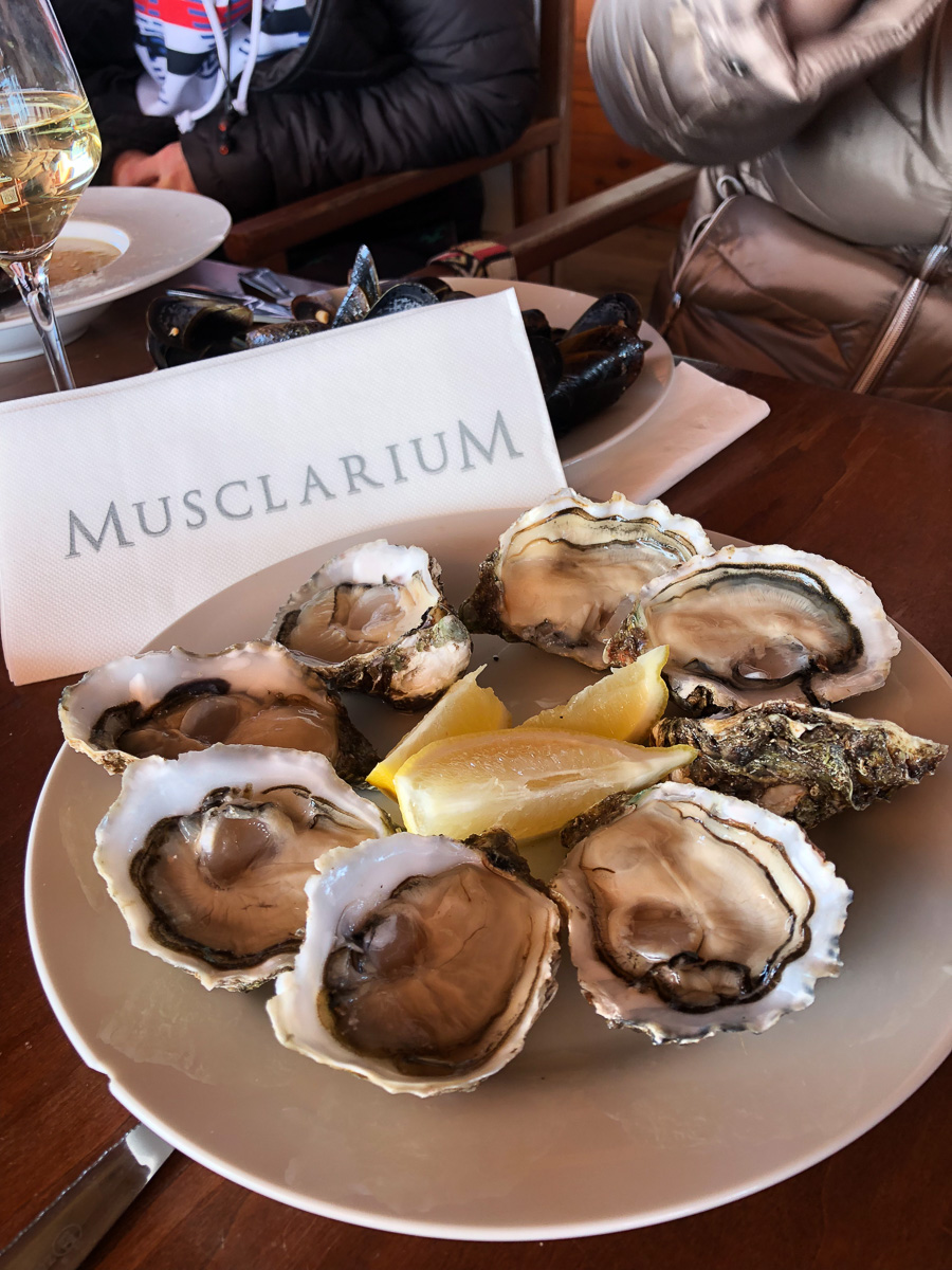 Любители хорошей кухни из Владимира готовили и дегустировали испанские блюда и открывали для себя особенности Валенсии