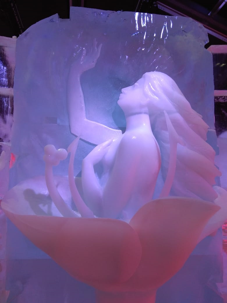 Три тематические проекта Ильи Шанина выставлены в первом в мире цифровом ледяном музее. Неординарность и красоту скульптур отметили как зрители, так и организаторы фестиваля