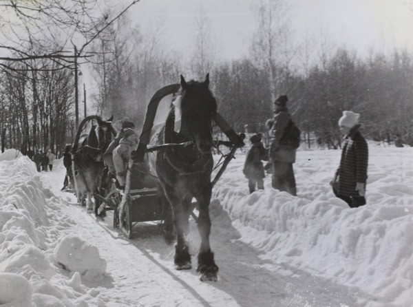 Новогодние праздники в парке “Дружба” во Владимире
