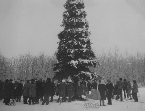 Новогодние праздники в парке “Дружба” во Владимире