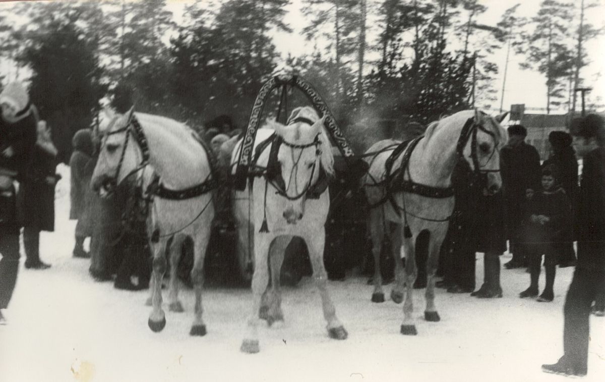 Новый год в парке “Загородный” во Владимире в 1971 г.