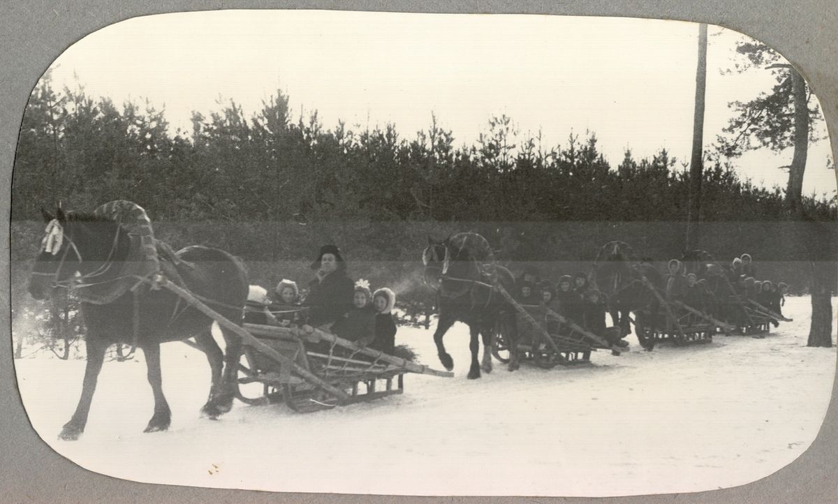 Новый год в парке “Загородный” во Владимире в 1974 г.