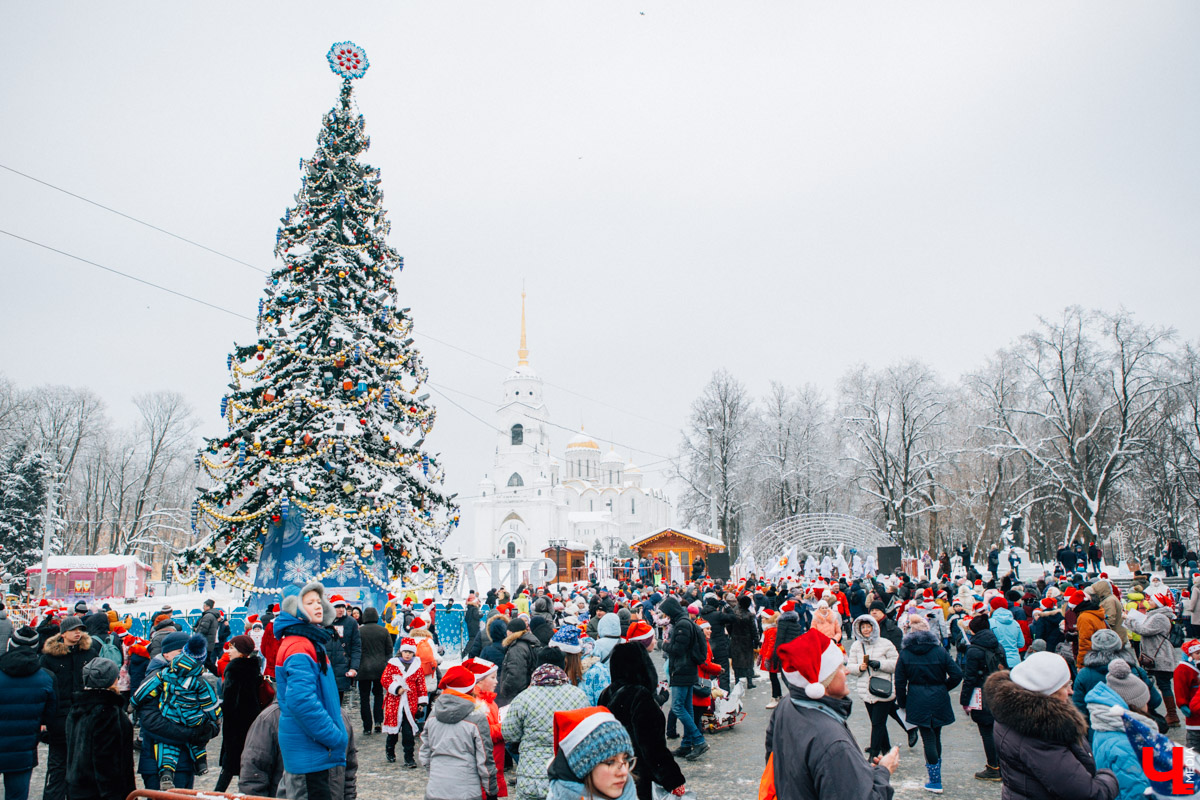 13 января во Владимире прошел VIII забег Дедов Морозов в центре города. В нем приняли участие больше 3 тысяч человек