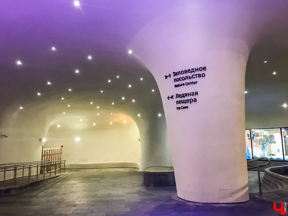 Прогулка по зимнему парку “Зарядье” в Москве